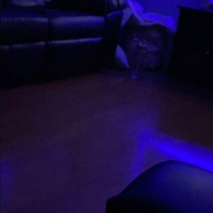 Meet your Posher, Wren